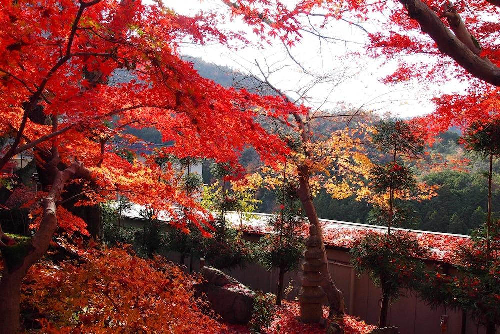 Hotel Ryokan Nenrinbo Kioto Zewnętrze zdjęcie